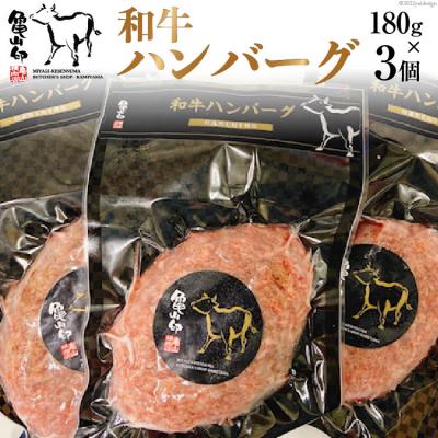 ふるさと納税 気仙沼市 和牛ハンバーグ 3個 セット 180g ×3個 20565240