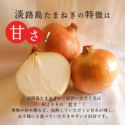 ふるさと納税 南あわじ市 【あさひサンファーム】【大玉 5kg】ひょうご安心ブランド★特別栽培★淡路島たまねぎ |  | 02