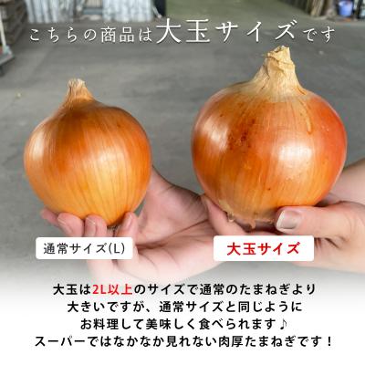 ふるさと納税 南あわじ市 【あさひサンファーム】【大玉 5kg】ひょうご安心ブランド★特別栽培★淡路島たまねぎ |  | 03