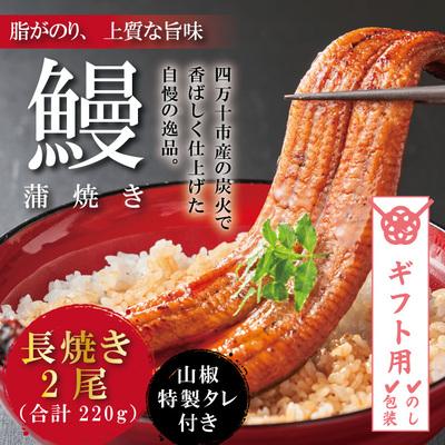 ふるさと納税 四万十市 [ギフト用(包装)]&lt;四万十食品&gt;うなぎ蒲焼 長焼2尾/BC