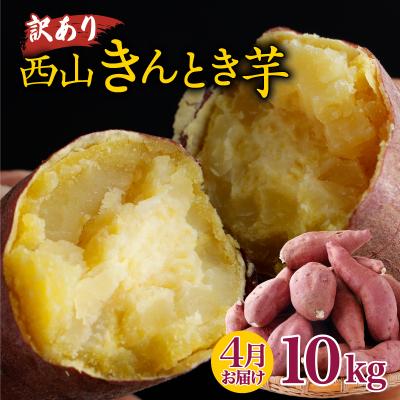ふるさと納税 室戸市 [令和8年4月お届け][訳あり]西山きんとき芋(サツマイモ) 10kg