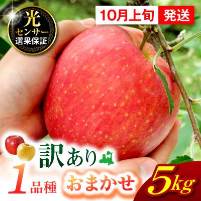 ふるさと納税 五所川原市 [2026年10月上旬発送][訳あり]旬の美味しい りんご 約5kg 青森 産 [おまかせ1品種]