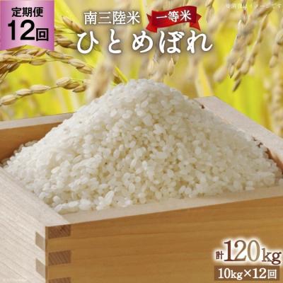 ふるさと納税 気仙沼市 お米 定期便 12回 気仙沼産 南三陸米ひとめぼれ 精米 10kg 総計120kg 20563291