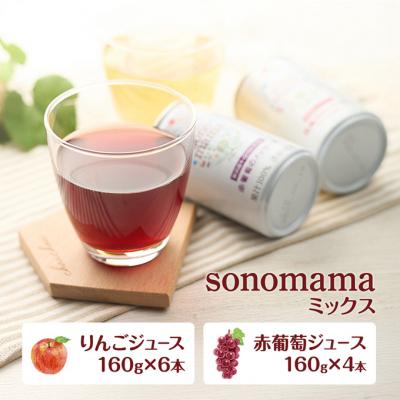 ふるさと納税 羽後町 「sonomama」ミックス(160g×10本) 