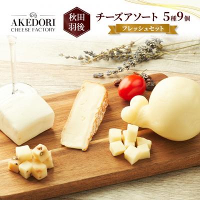ふるさと納税 羽後町 チーズアソート5種9個/フレッシュセット 