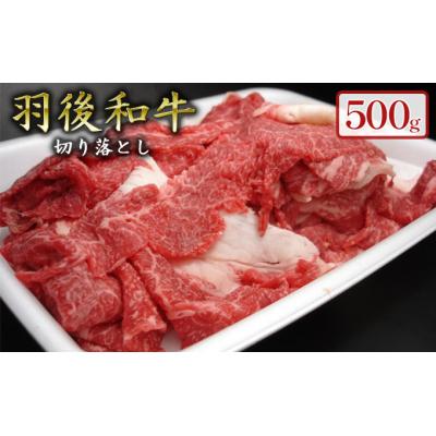 ふるさと納税 羽後町 500gのボリューム! 羽後和牛 切り落とし 