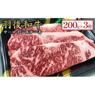 ふるさと納税 羽後町 羽後和牛 サーロインステーキ 200g×3枚 