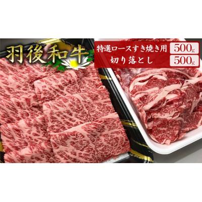 ふるさと納税 羽後町 羽後和牛特選ロースすき焼き用500g+羽後和牛切り落とし500g 