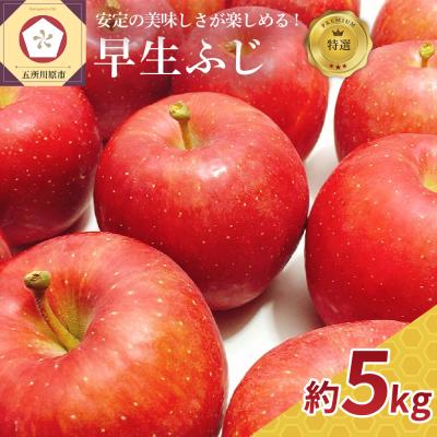 ふるさと納税 五所川原市 [2026年10月発送] りんご 約5kg [特選] 早生ふじ 青森県産 [フルーツ フジ リンゴ]