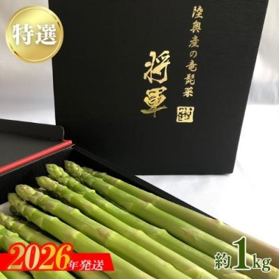 ふるさと納税 福島市 陸奥産の特選アスパラガス[将軍]1kgNo.2152
