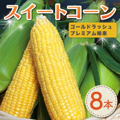 ふるさと納税 東御市 [先行受付2026年発送]東御市産とうもろこし8本|フルーツみたいなイエロースイートコーン