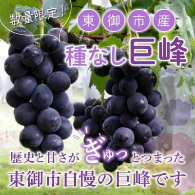 ふるさと納税 東御市 東御市産 種なし巨峰約2kg(4〜5房)[秋お届け]