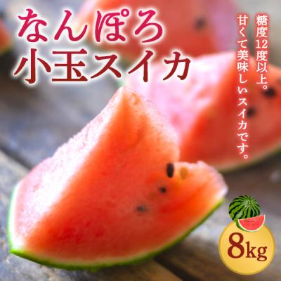 ふるさと納税 南幌町 北海道産 小玉スイカ 約8kg 4〜6玉 なんぽろ小玉すいか 8月発送 シャリシャリ食感 南幌町産