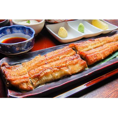 ふるさと納税 各務原市  うなぎ屋　たむろ　お食事券【70】 |  | 03