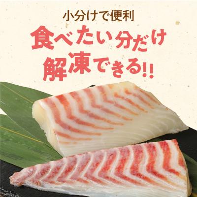 ふるさと納税 天草市 みやび鯛 刺身用 柵　900g_S124-003 |  | 01