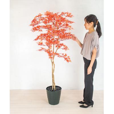 ふるさと納税 越知町 モミジ(赤)(造花)Go-511