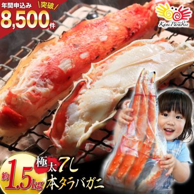 ふるさと納税 気仙沼市 かに 本 タラバガニ 脚 ボイル済 約1.5kg 極太7Lサイズ 20564326