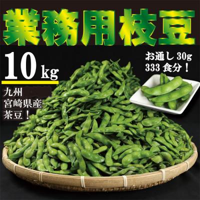ふるさと納税 高原町 宮崎県産えだまめ 大容量10kg 特産品開発576
