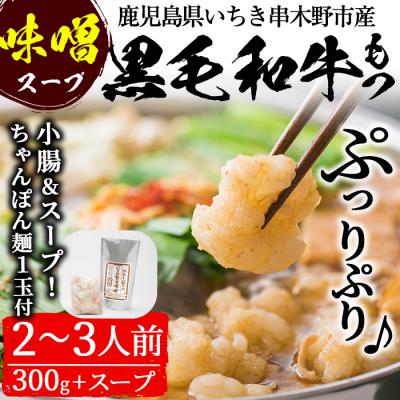 ふるさと納税 いちき串木野市 鹿児島県産!黒毛和牛&lt;味噌&gt;もつ鍋セット(2〜3人前)