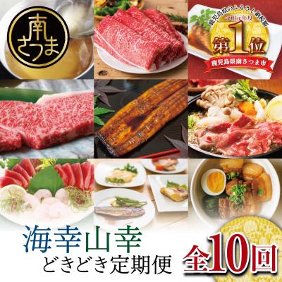 ふるさと納税 南さつま市 [定期便]海幸山幸どきどき定期便(全10回)