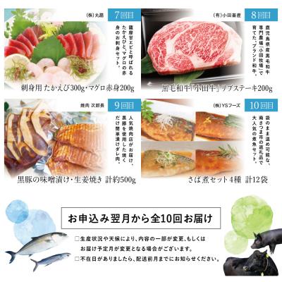 ふるさと納税 南さつま市 【定期便】海幸山幸どきどき定期便(全10回) |  | 03