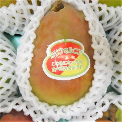 ふるさと納税 上山市 西洋梨(カリフォルニア)3kg　ご家庭用　0017-2614_1