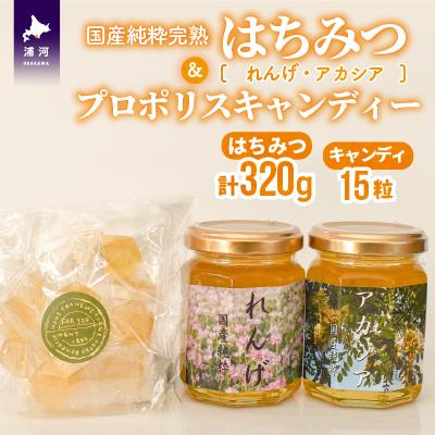 ふるさと納税 浦河町 国産純粋完熟はちみつ小瓶(れんげ・アカシア)&amp;プロポリスキャンディーセット[16-1145]