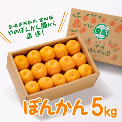 ふるさと納税 西都市 宮崎県西都産ぽんかん5kg 宝財原やのぽんかん[先行受付][2742]