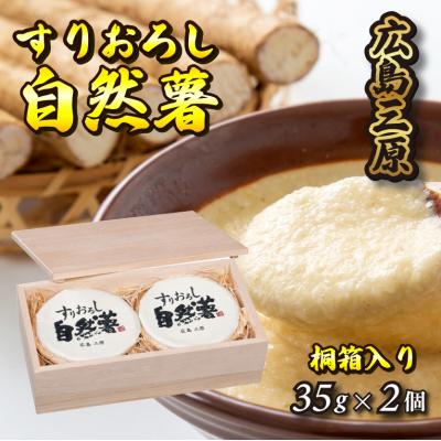 ふるさと納税 三原市 すりおろし自然薯[配達不可:離島][029-003]