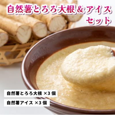 ふるさと納税 三原市 コクがあるのに後味すっきり!自然薯アイスクリーム&amp;とろろ大根おろしセット[029-002]