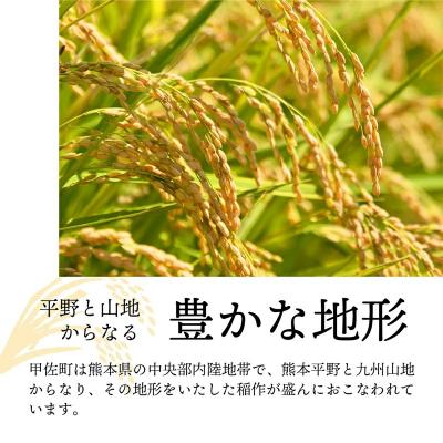 ふるさと納税 甲佐町 『甲佐の輝き』無洗米16kg【11月より新米発送】　令和8年産　新米【ZU】 |  | 02