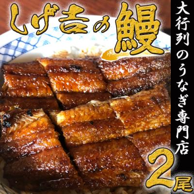 ふるさと納税 関市 しげ吉うなぎ長焼き 2本セット炭火焼き (冷蔵) 鰻 ウナギ 名店 老舗 関市 土用の丑の日