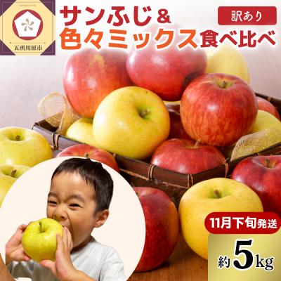 ふるさと納税 五所川原市 [2026年11月下旬発送][訳あり]りんご5kg青森産家庭用完熟サンふじ&amp;色々ミックス