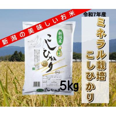ふるさと納税 阿賀野市 [令和7年産新米]ミネラル栽培こしひかり 5kg