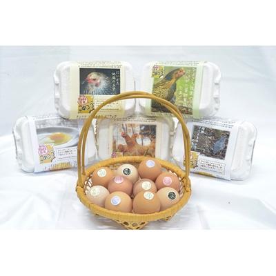 ふるさと納税 阿賀野市 平飼い有精卵セット[5種各6個・計30個]卵 たまご 地鶏