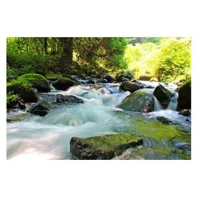 ふるさと納税 甲佐町 【毎月お届け】い・ろ・は・す(いろはす)阿蘇の天然水 540ml×48本【定期便6ヶ月コース】の画像