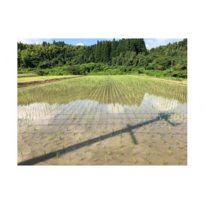 ふるさと納税 甲佐町 ★令和8年11月から発送予定★甲佐町 上田晋也さんが育てた美味しいお米【玄米30kg】ZAの画像