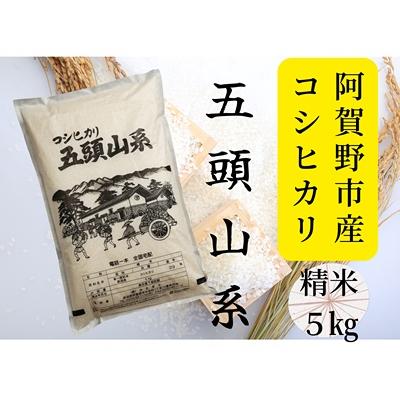ふるさと納税 阿賀野市 [令和7年産新米]コシヒカリ5kg「米屋のこだわり阿賀野市産」