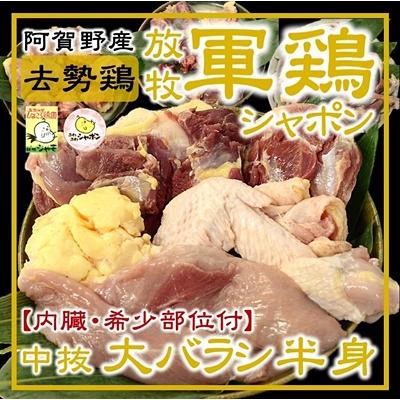 ふるさと納税 阿賀野市 軍鶏シャポン大バラシ半身セット[内臓・希少部位付]ひよころ鶏園