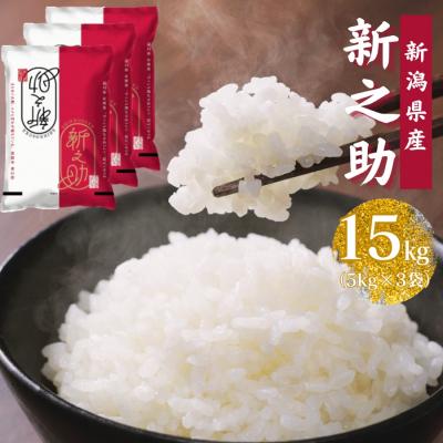 ふるさと納税 阿賀野市 [令和7年産]新潟産 新之助 15kg(5kg×3袋)