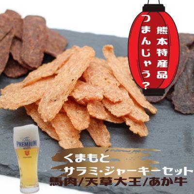 ふるさと納税 甲佐町 くまもとサラミ・ジャーキーセット