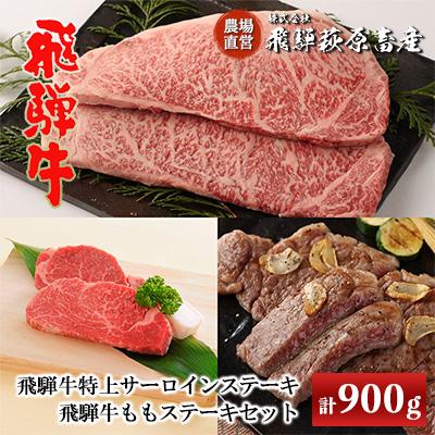 ふるさと納税 下呂市 飛騨牛特上サーロイン(200g×3枚)・ももステーキ(150g×2枚)[22-10]