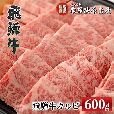 ふるさと納税 下呂市 [冷凍]飛騨牛カルビ 600g 国産 牛肉[22-16]
