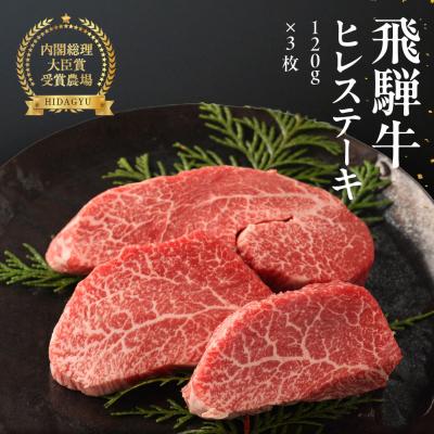ふるさと納税 下呂市 [年内順次発送][冷凍]飛騨牛ヒレステーキ 120g×3枚 ヒレ 赤身[22-18n]