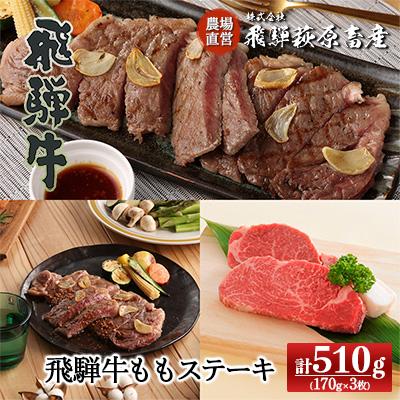 ふるさと納税 下呂市 [冷凍]飛騨牛ももステーキ 170g×3枚 牛肉 赤身[22-6]