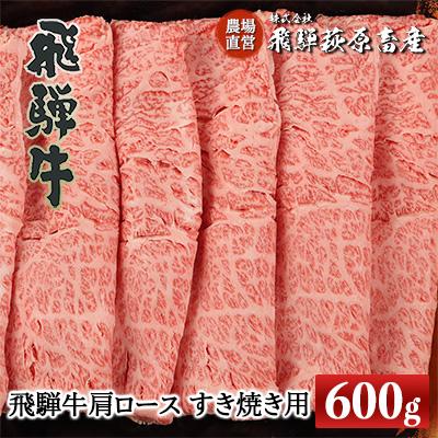 ふるさと納税 下呂市 [冷凍]飛騨牛肩ロース 600g(すき焼き用) [22-19[2]]