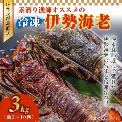 ふるさと納税 和泊町 伊勢エビ冷凍 3キロ