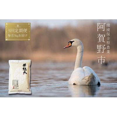 ふるさと納税 阿賀野市 [令和7年産新米][5回定期便]コシヒカリ5kg×5回 米杜氏 阿賀野市産