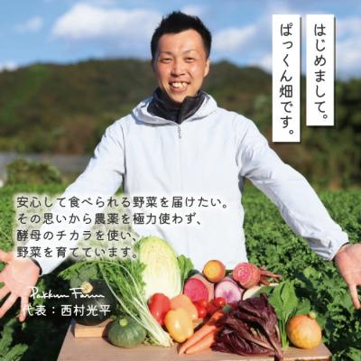 ふるさと納税 四万十市 【4回定期便】ぱっくん畑の秋・冬野菜セット約5種類【R8.11月〜R9.2月まで毎月1回】 |  | 01