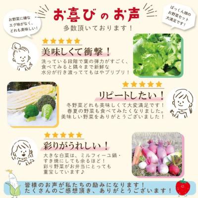 ふるさと納税 四万十市 【4回定期便】ぱっくん畑の秋・冬野菜セット約5種類【R8.11月〜R9.2月まで毎月1回】 |  | 03